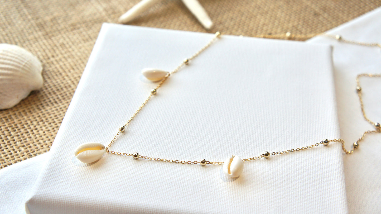 Natural Shells Long Necklace