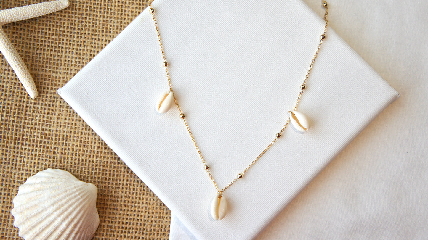 Natural Shells Long Necklace