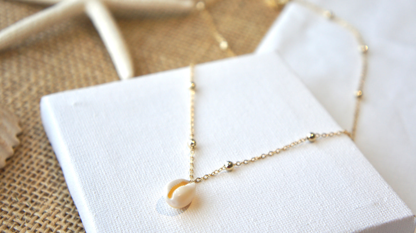 Natural Shell Necklace