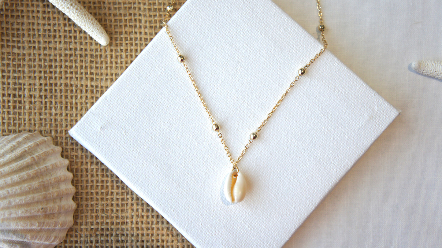 Natural Shell Necklace