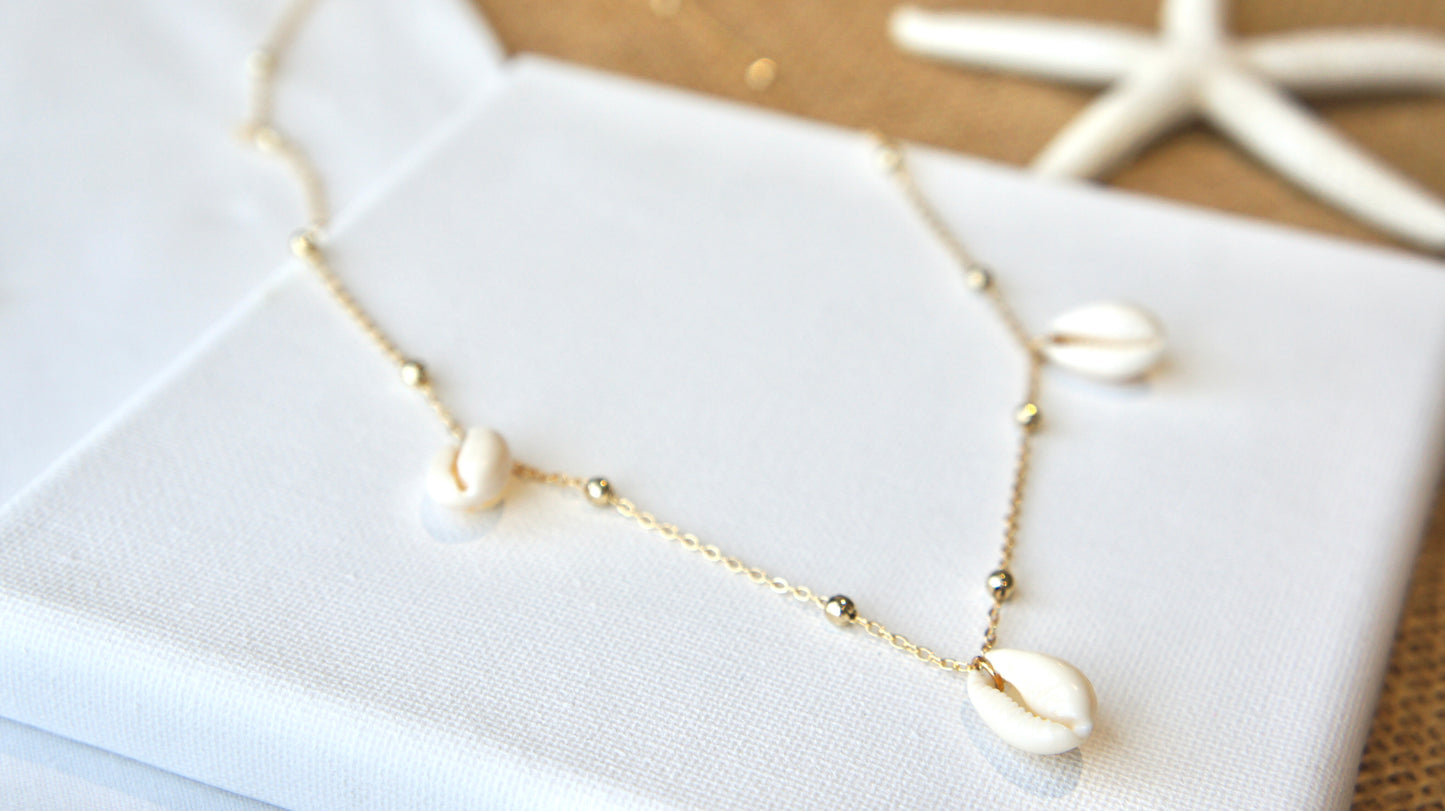 Natural Shells Long Necklace